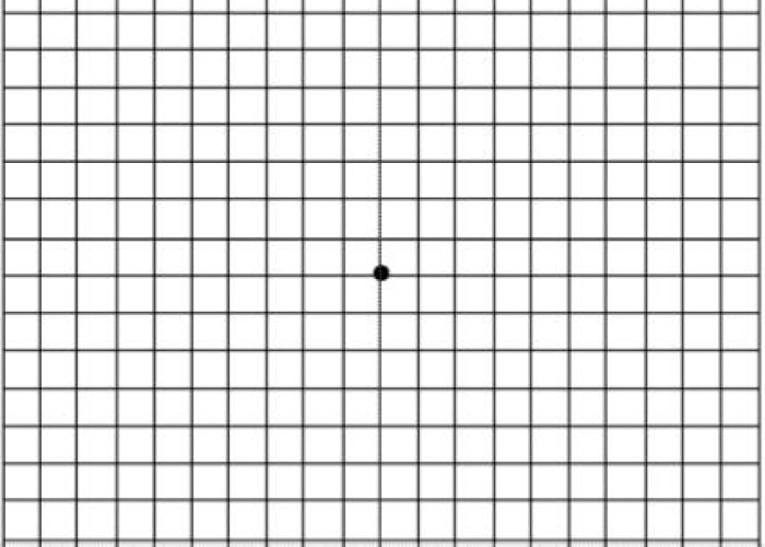 Visual disturbance